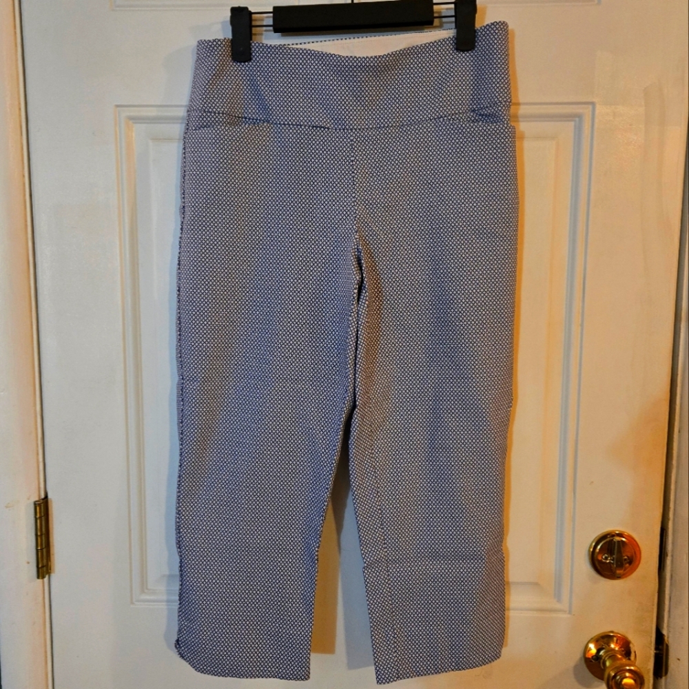 Women's Blue Patterned Pants S.C.&CO. Size 12 Cropped Capri Slacks